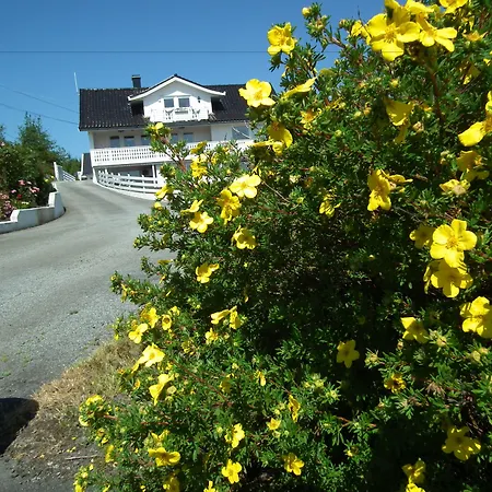 Skudenes